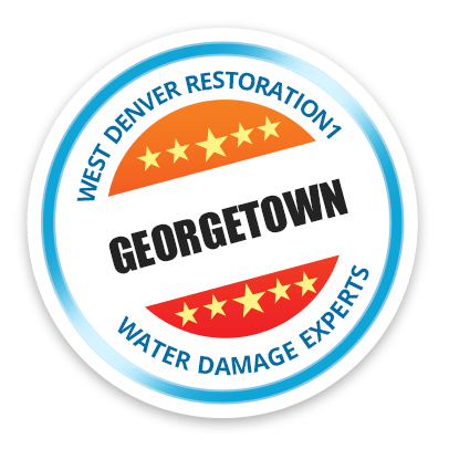 R1_City_Badge_Georgetown-1920w