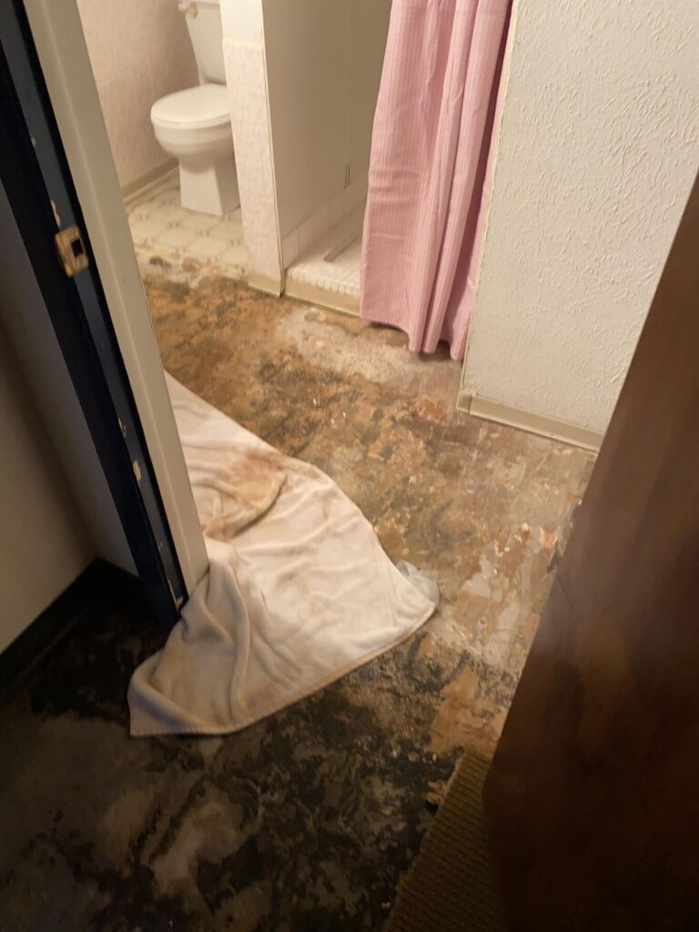 bathroom with mold damage