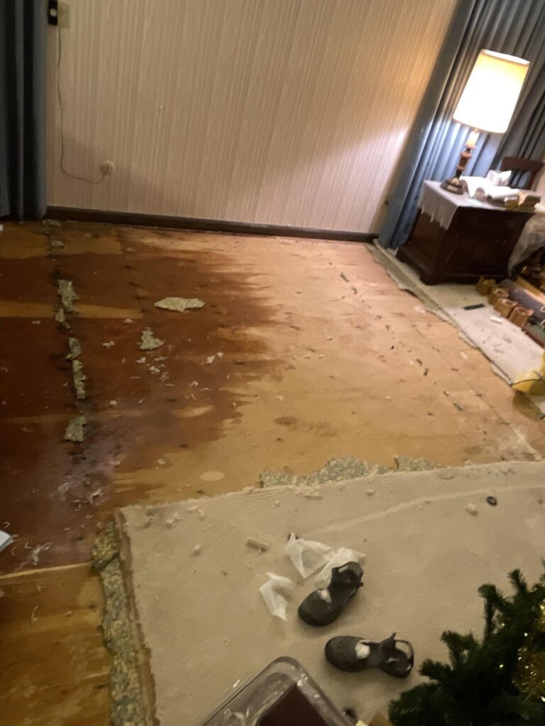 water damage under carpet