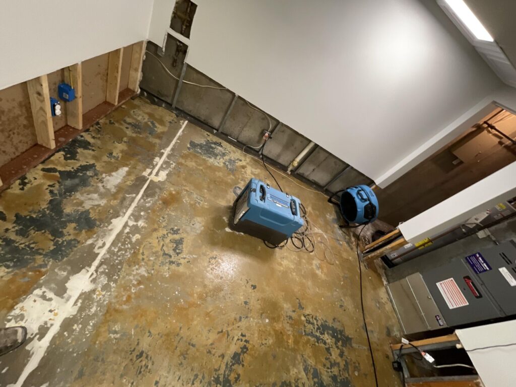 basement water damage repairs