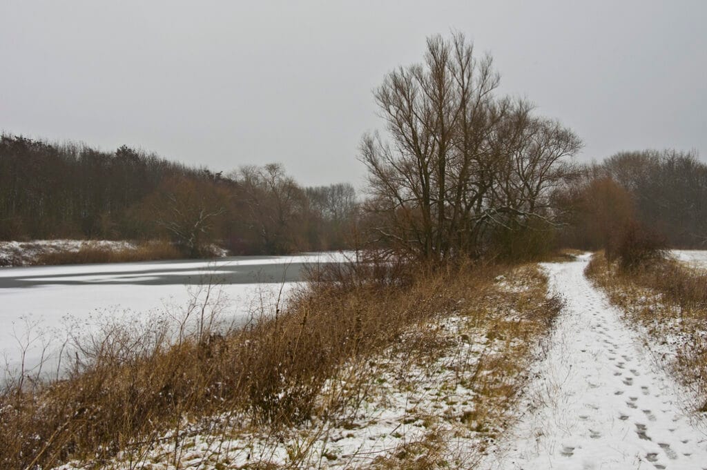 beautiful rural landscape covered in snow on a cold day