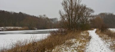 beautiful rural landscape covered in snow on a cold day