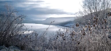 Frosted winter landscape in cold temperature with ice and hoar f