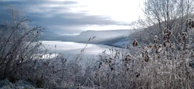 Frosted winter landscape in cold temperature with ice and hoar f