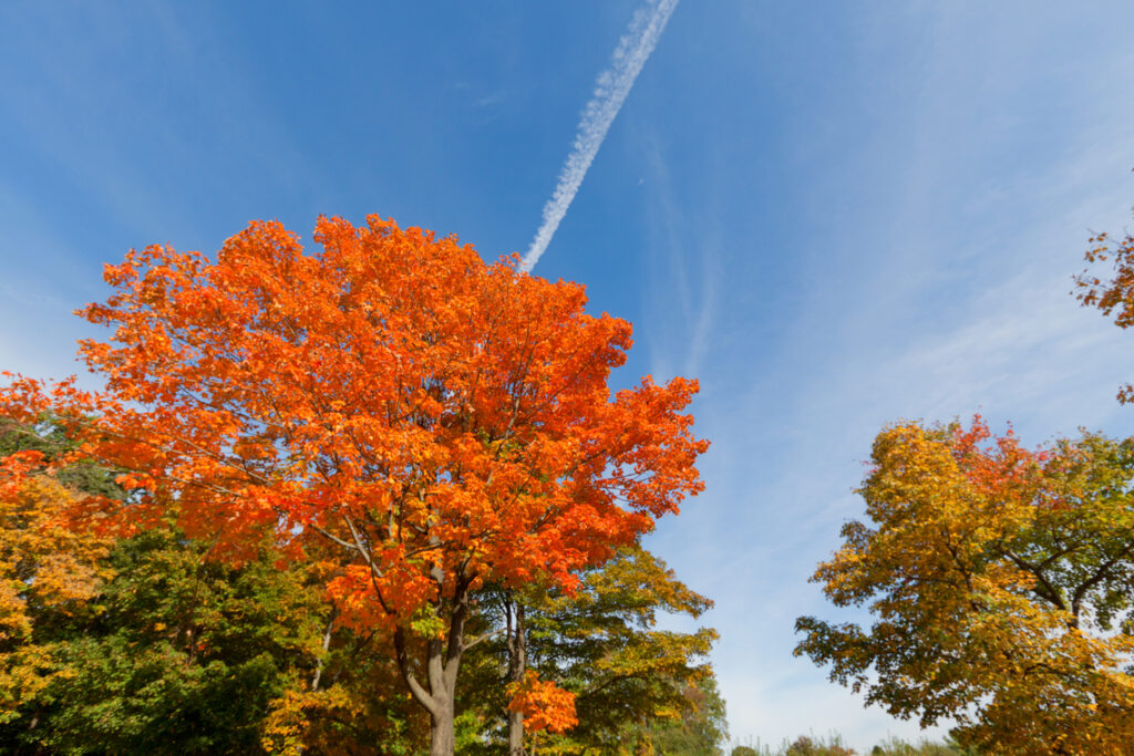 Fall Scenery. Beautiful Fall scenery in Upstate New York.