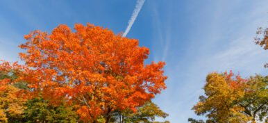 Beautiful Fall scenery in Upstate New York.