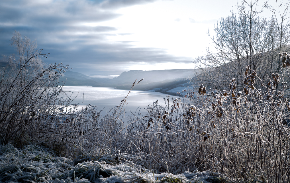 Frosted winter landscape in cold temperature with ice and hoar f